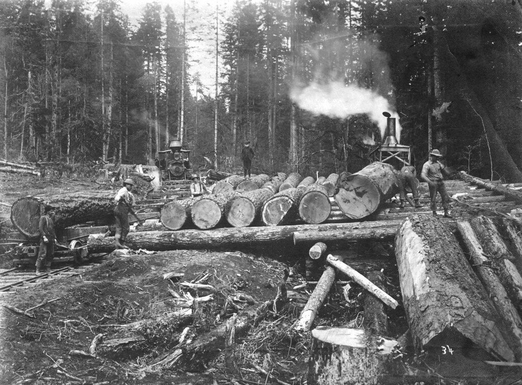 Image result for logging