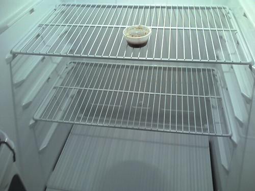 Empty fridge | There is something surreal about a huge fridg… | Flickr