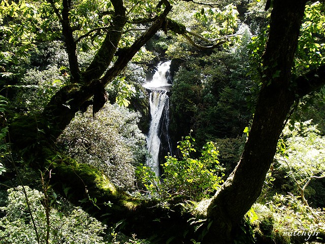 Sunlit Falls