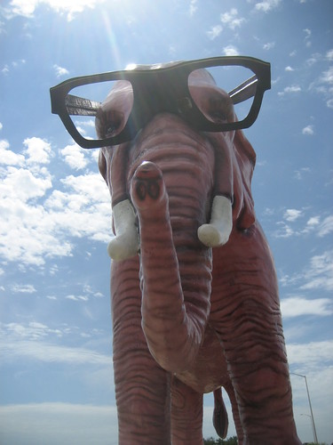 Pink Elephant in Glasses Charging