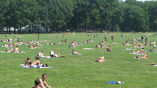 Central Park NYC | A bevy of sunbathers Njoyin their day at … | Flickr