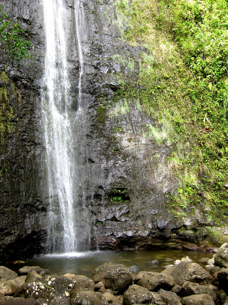 Things to do in Oahu - Manoa Falls