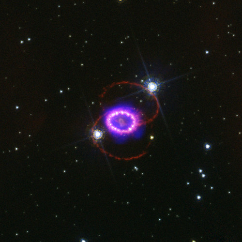 Supernova Remnants: Dazzling Entrails of Violent Stellar 