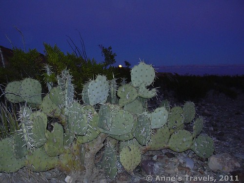 Moonrise in Big Bend National Park, Texas