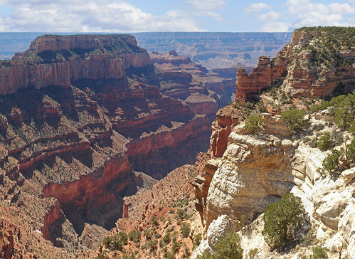 Grand Canyon National Park: View from Cape Royal Amphitheater 0431