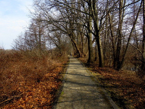 Stu Visser Trail