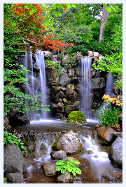 243 365 08 31 2013 Waterfalls At The Anderson Japanese G Flickr