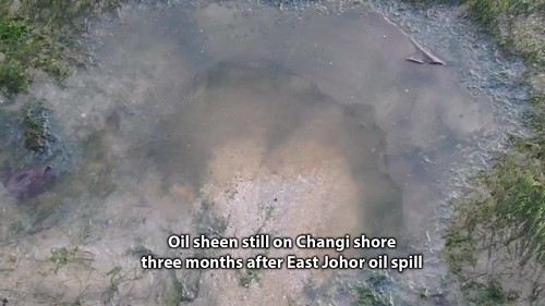 Oil sheen still seen on Changi three months after East Johor oil spill
