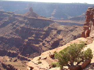 37 Dead Horse Point State Park