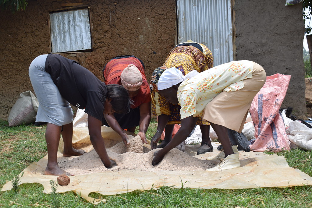 Follow-up visits to small-scale farmers trained in dairy production