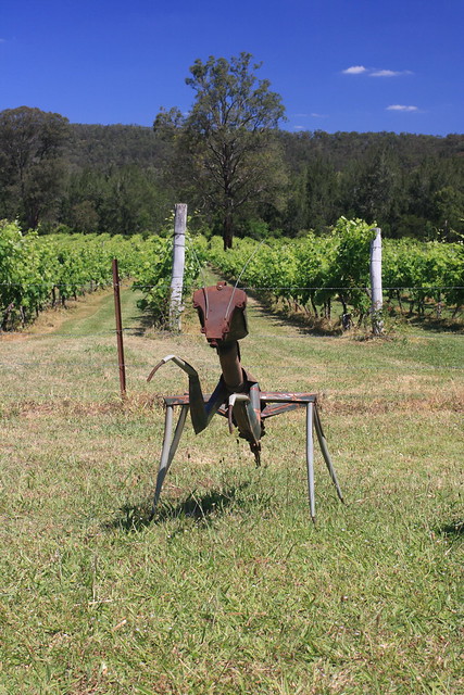 Sculpture in the Vineyards