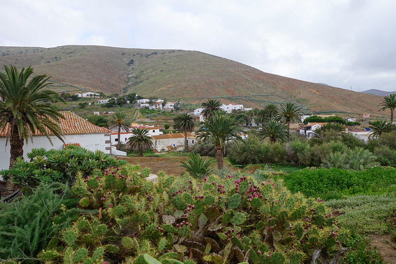 Fuerteventura (Islas Canarias). La isla de las playas y el viento. - Blogs de España - Betancuria, Miradores de Morro Velosa, y Aguise y Yose, Faro de la Entallada. (14)