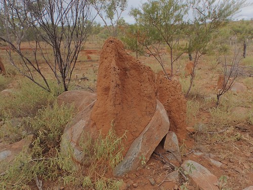 Termite Rock