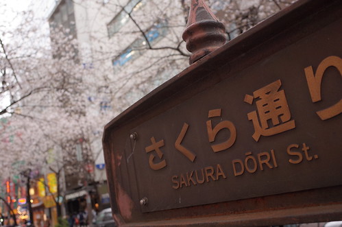 Sakura street