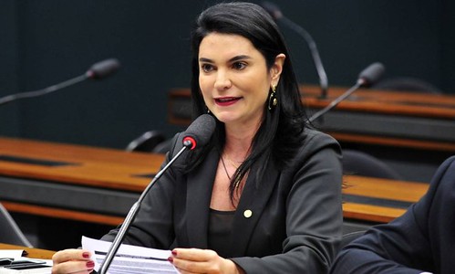 Os 9 deputados do Pará financiados pela JBS, segundo delação premiada, simone morgado