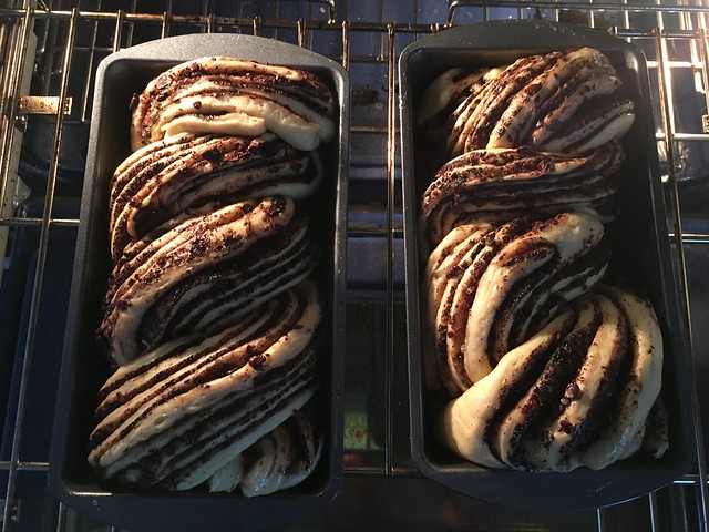Chocolate Babka