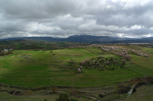 Ronda, Andalusia, Spain