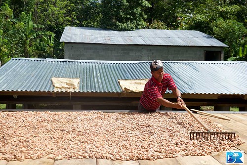 Cacao factory in the Dominican Republic, via DRVisitor