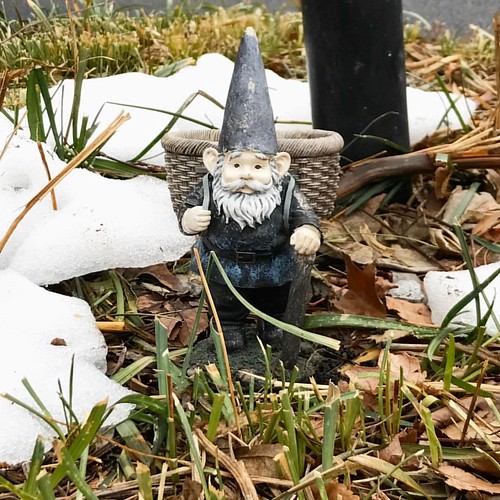 My garden gnome (who's really a salt & pepper shaker holder) needs some new paint this year. Maybe I'll knit him a new hat, too. He lives in the small flower bed around the light post in our front yard, tucked in among liriope, 3 different peonies, a clem
