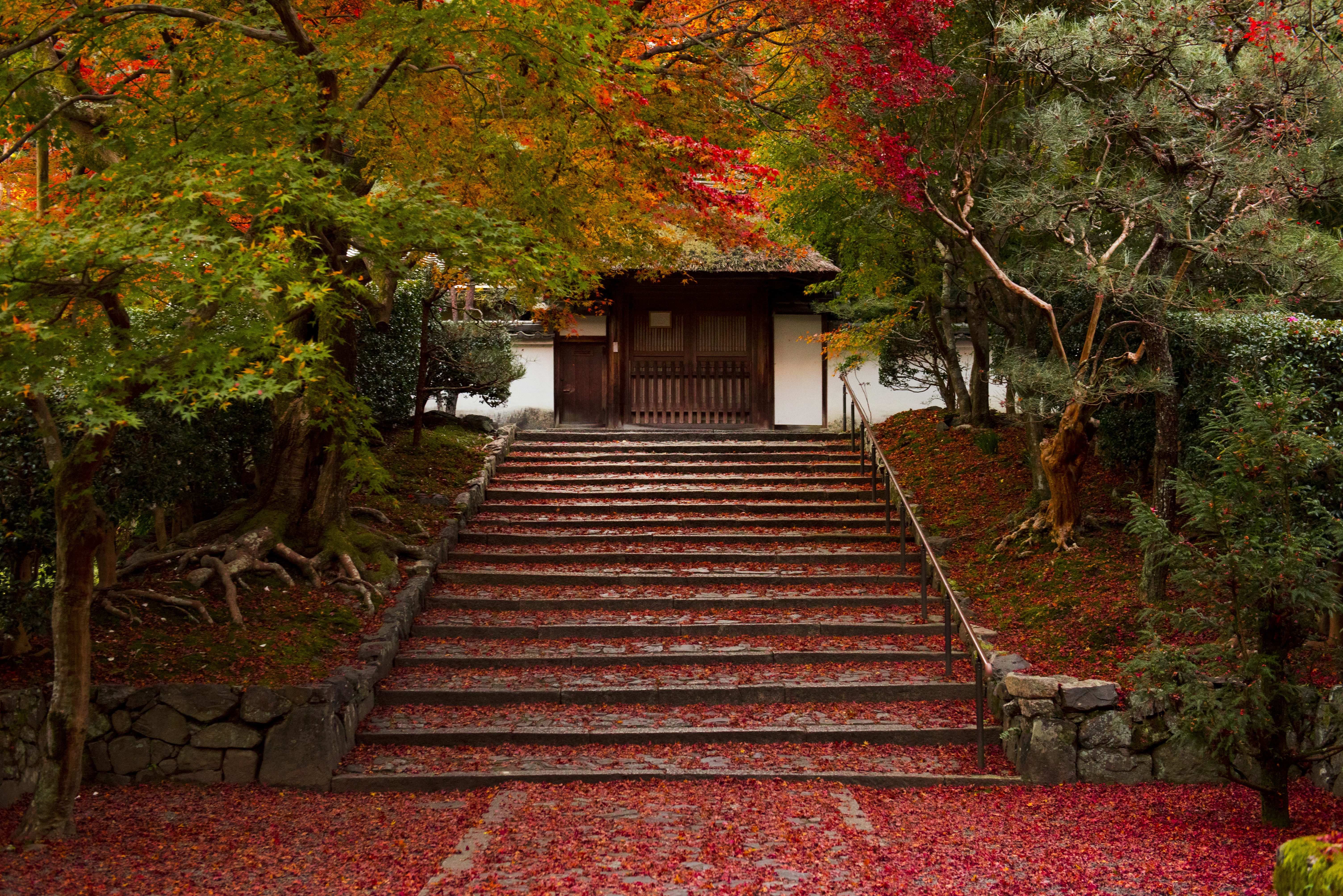 Anraku-ji 安楽寺