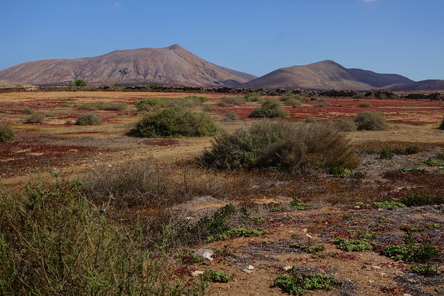 La Oliva, el Puertito de los Molinos y Volcán Calderón Hondo (ruta a pie). - Fuerteventura (Islas Canarias). La isla de las playas y el viento. (17)