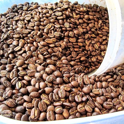 More Single Origin coffees just roasted! Sending them out (Coffee Subscription on caffedbolla.com) and for you to pick up at the shop.