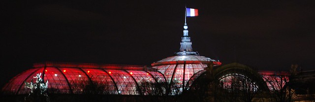 Le Grand Palais at night, Paris