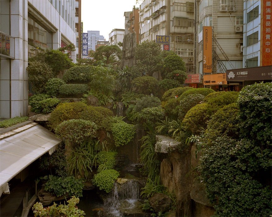 An urban jungle located in Taipei, Taiwan