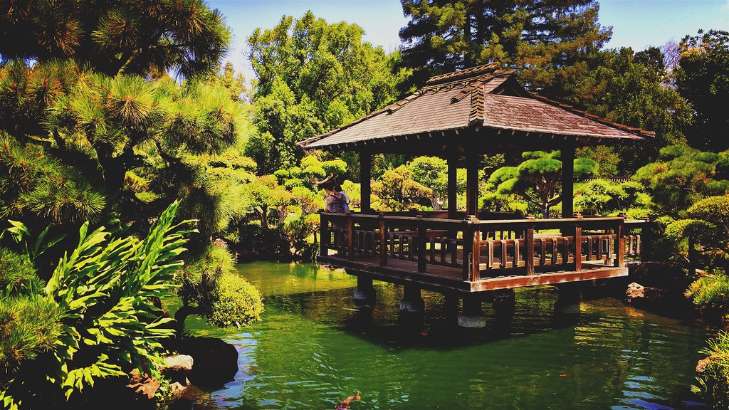 Japanese Tea Garden In Hayward California Stephen Hollingsworth