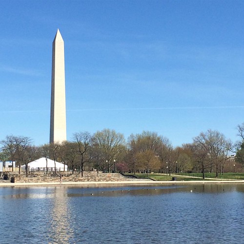 Picture perfect spring day in the city. #dc #nofilter
