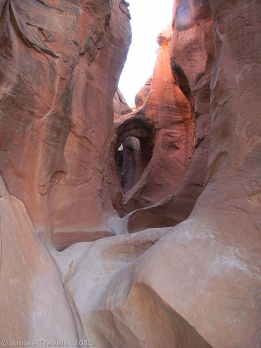 Arches and curves in Peek-a-boo Slot, Grand Staircase-Escalante National Monument, Utah