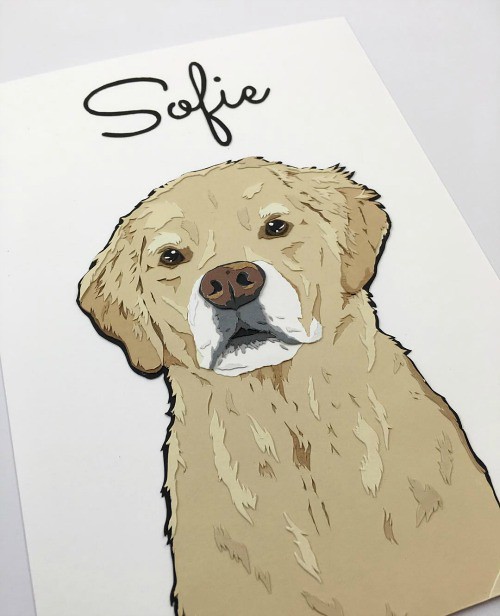 Papercut Dog Portrait - Grey Face Golden