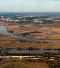 Horseshoe Bend in the Cape Fear River