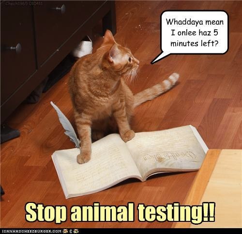 funny pictures -Stop animal testing!! | Paul Anderson | Flickr