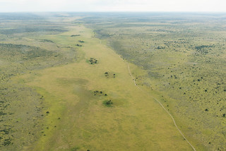 Passarge Valley im Central Kalahari Game Reserve