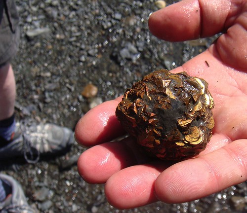 Impressionnante pyrite nodulaire découverte à marée basse sur la batture de St-Antoine-de-Tilly