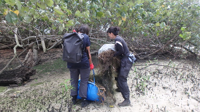 Removing an abandoned fish net at Kranji