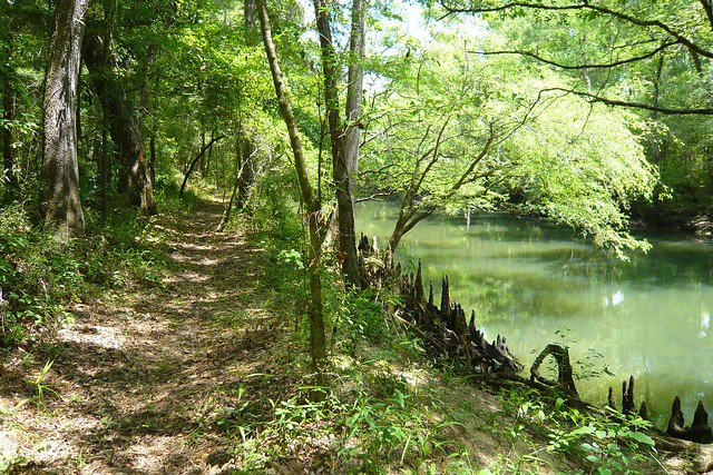 Hinson Conservation Area