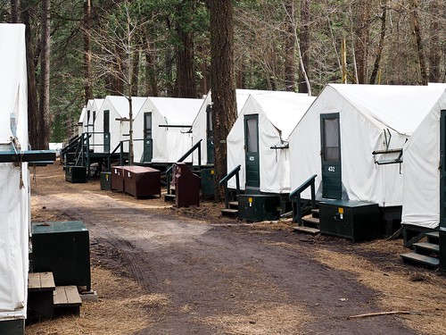 Camp Curry / Half Dome Village in March