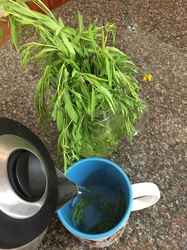 tarragon herb tea