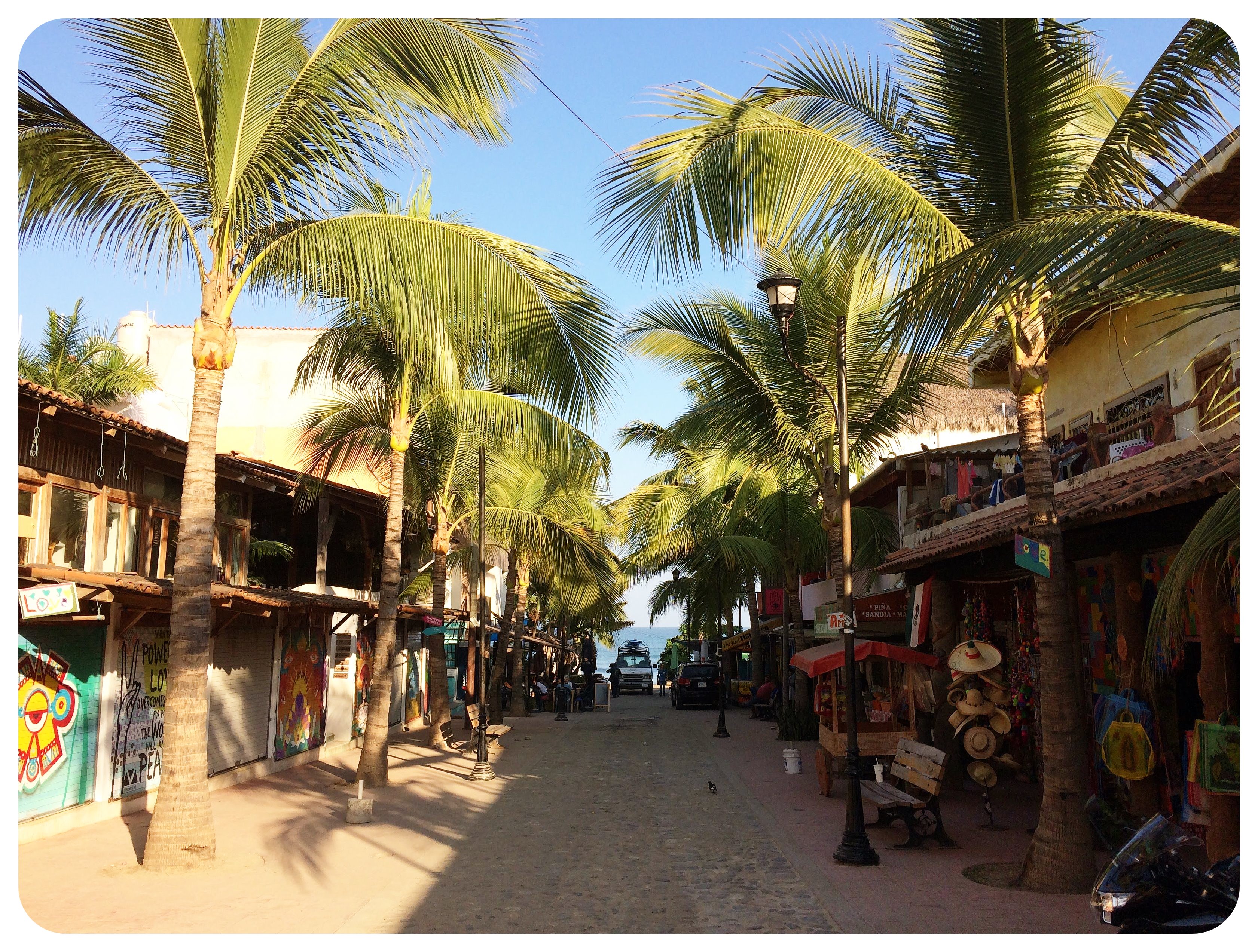 sayulita street with palm trees