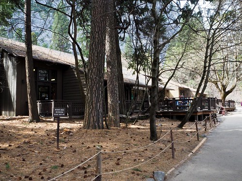 Camp Curry / Half Dome Village in March