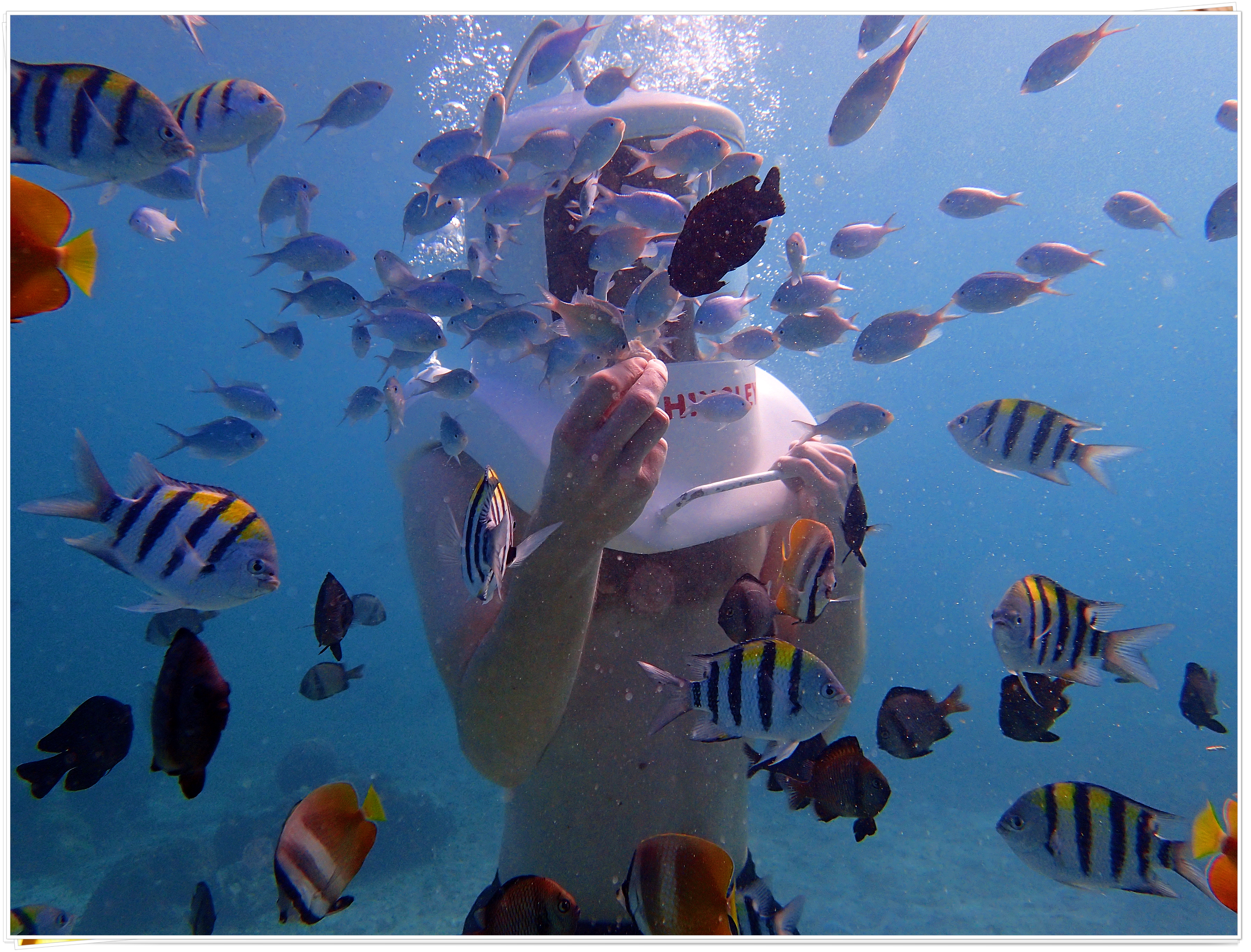 2015 Boracay Aklan Philippines (Helmet Diving and Fish Feeding)