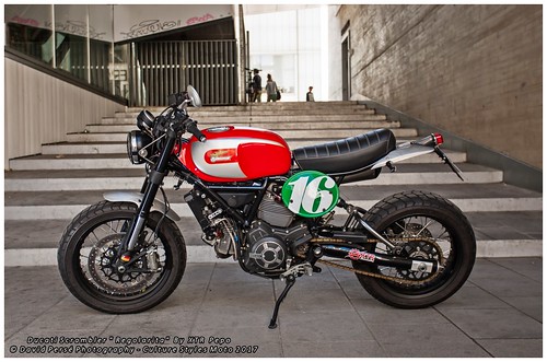 Ducati Scrambler "Regolarita" By XTR Pepo