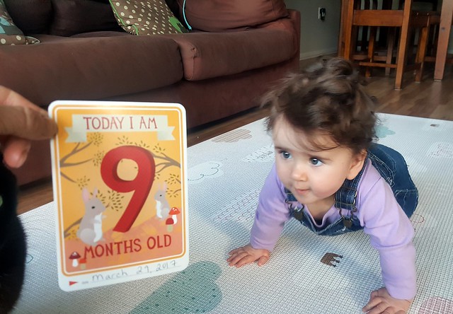 9 Months Old
