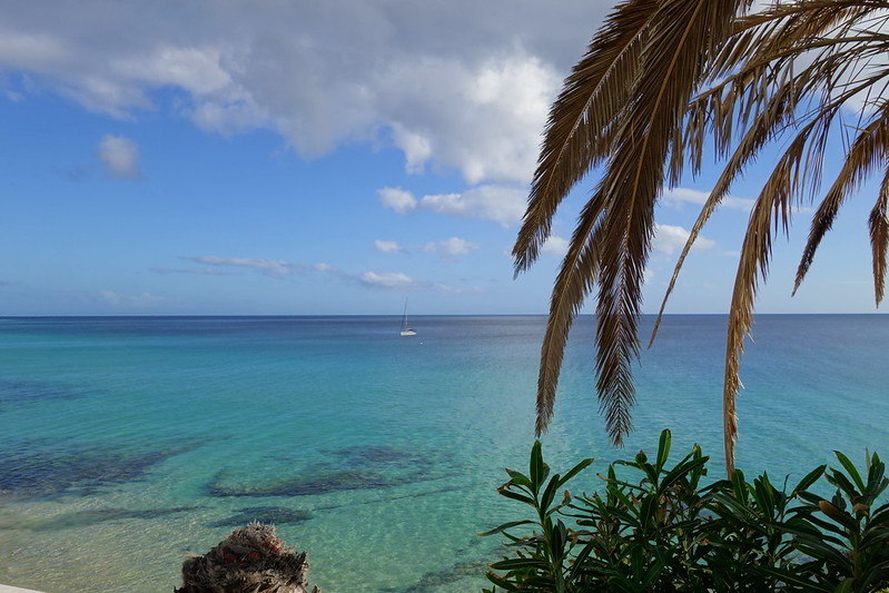 Fuerteventura (Islas Canarias). La isla de las playas y el viento. - Blogs de España - Faro de Punta Jandia, Playa de Cofete, Morro Jable y Playa de la Barca. (46)