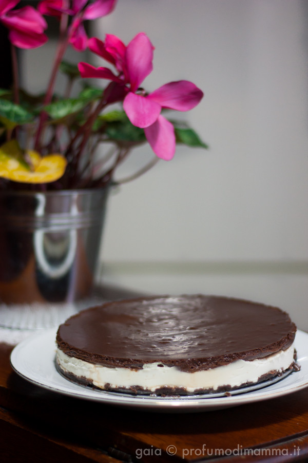 Cheesecake Ricotta di bufala e cioccolato