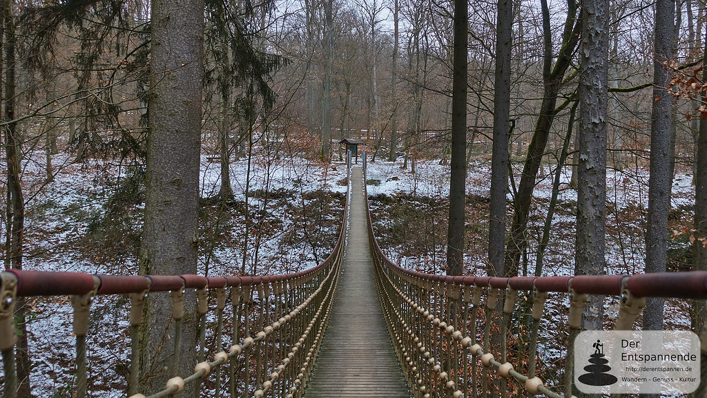 Hängebrücke im Binger Stadtwald