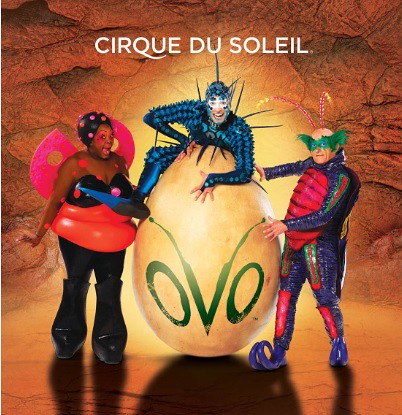 Cirque Du Soleil OVO 