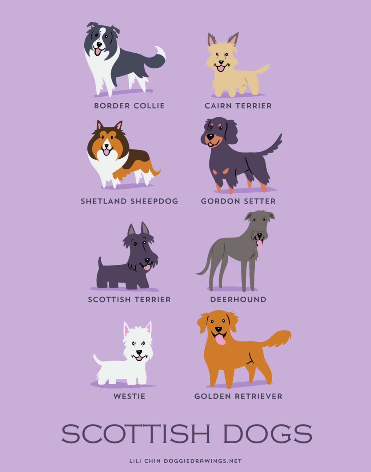 Origin Of Dogs: Cute Illustration By Lili Chin Show Where Dog Breeds Originating From #1: Scottish Dogs